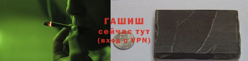PSILOCYBIN Аркадак