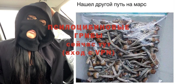 PSILOCYBIN Аркадак