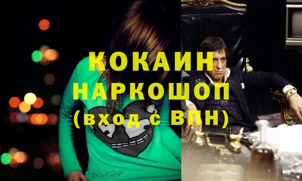PSILOCYBIN Аркадак