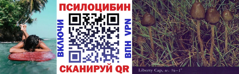 Галлюциногенные грибы Psilocybine cubensis  Купить  Лобня 
